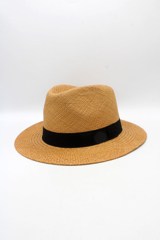 Panama camel