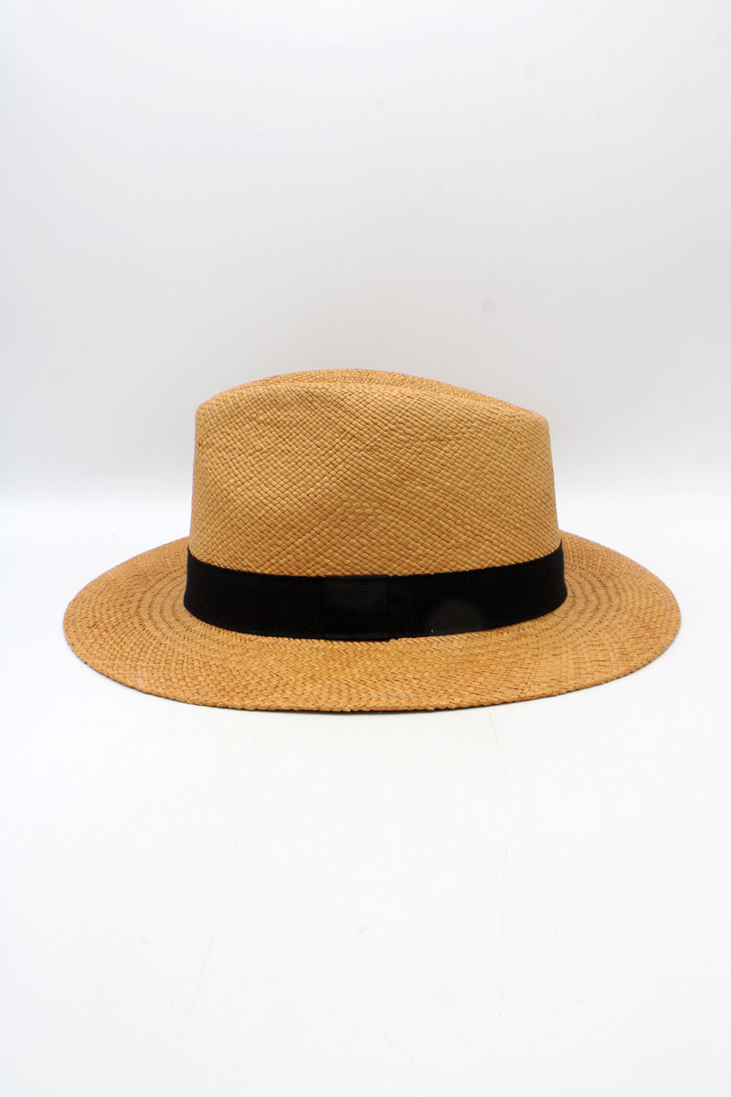 Panama camel