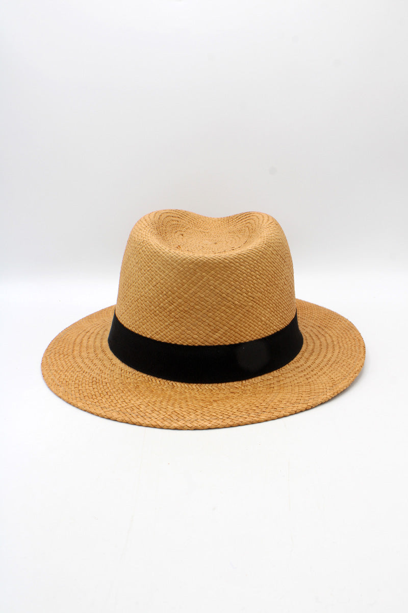 Panama camel