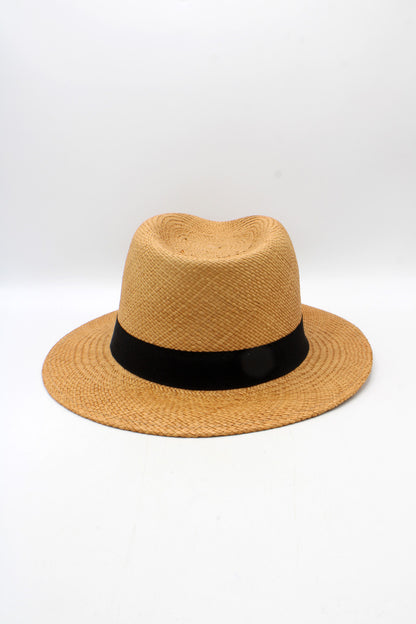 Panama camel