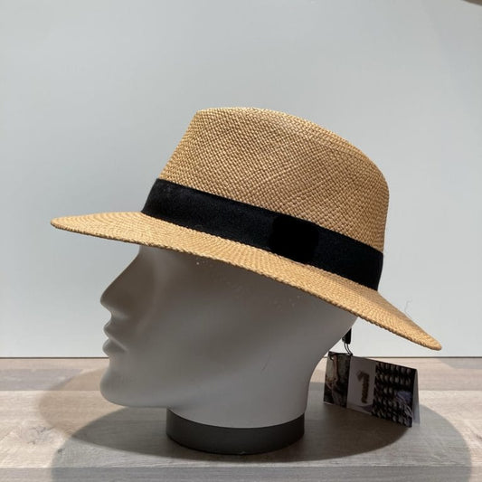 Panama camel